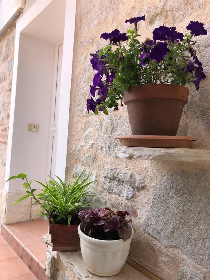 Appartamenti Silvio Funtana Apartment